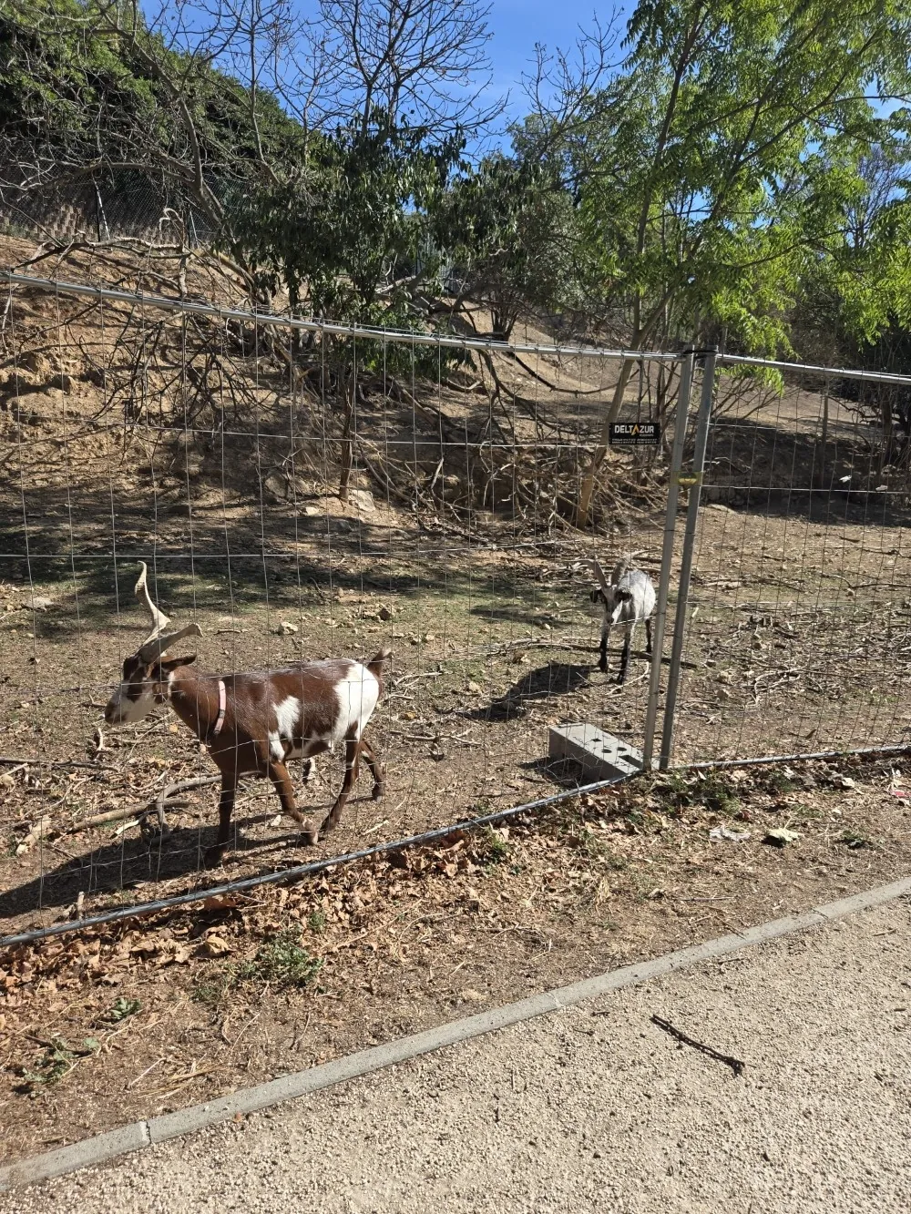 Après-midi au parc du Bocage / Septembre 2026