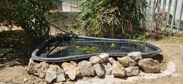 Le chantier du bassin est lancé !