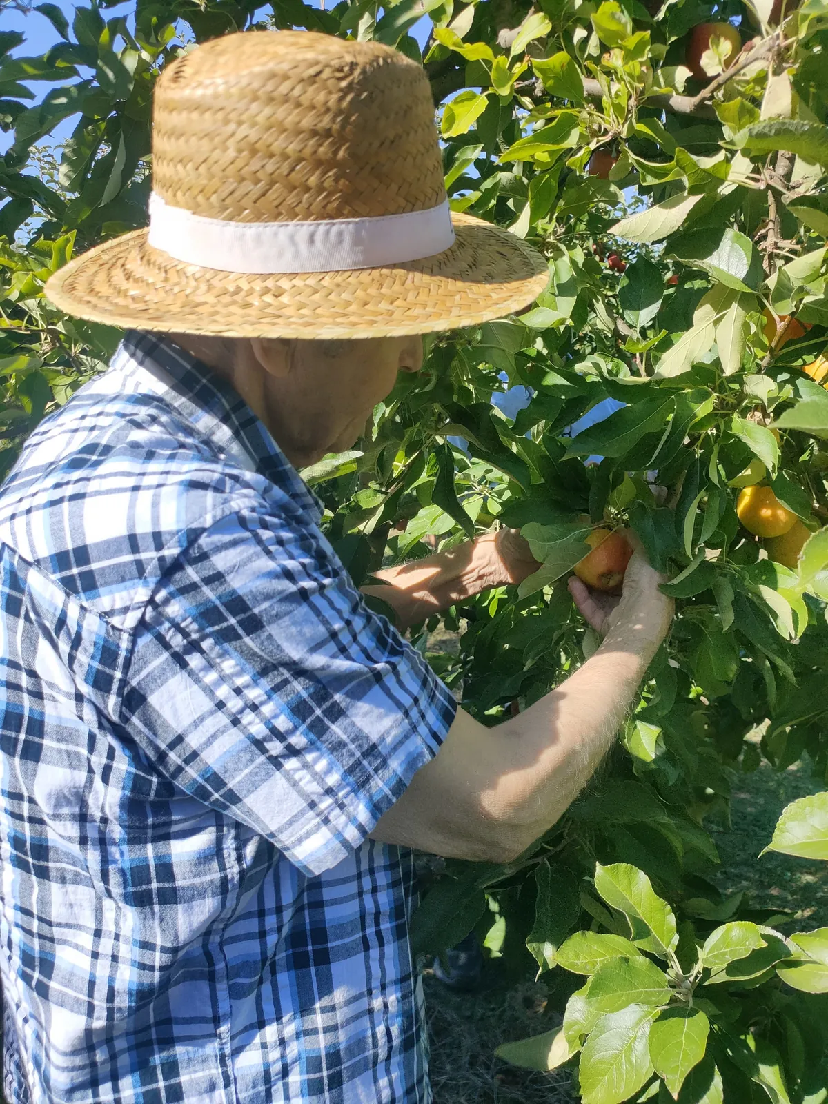 Une sortie pleine de saveurs et de partage - Résidence Les Jardins de Longuiolles - EHPAD 93 - Vaujours