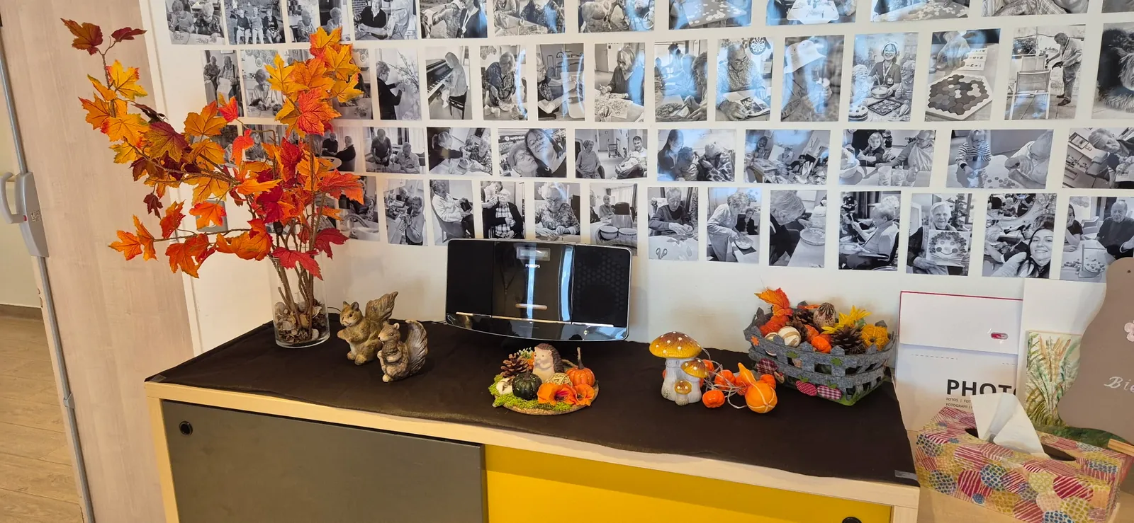 l'automne au PASA !