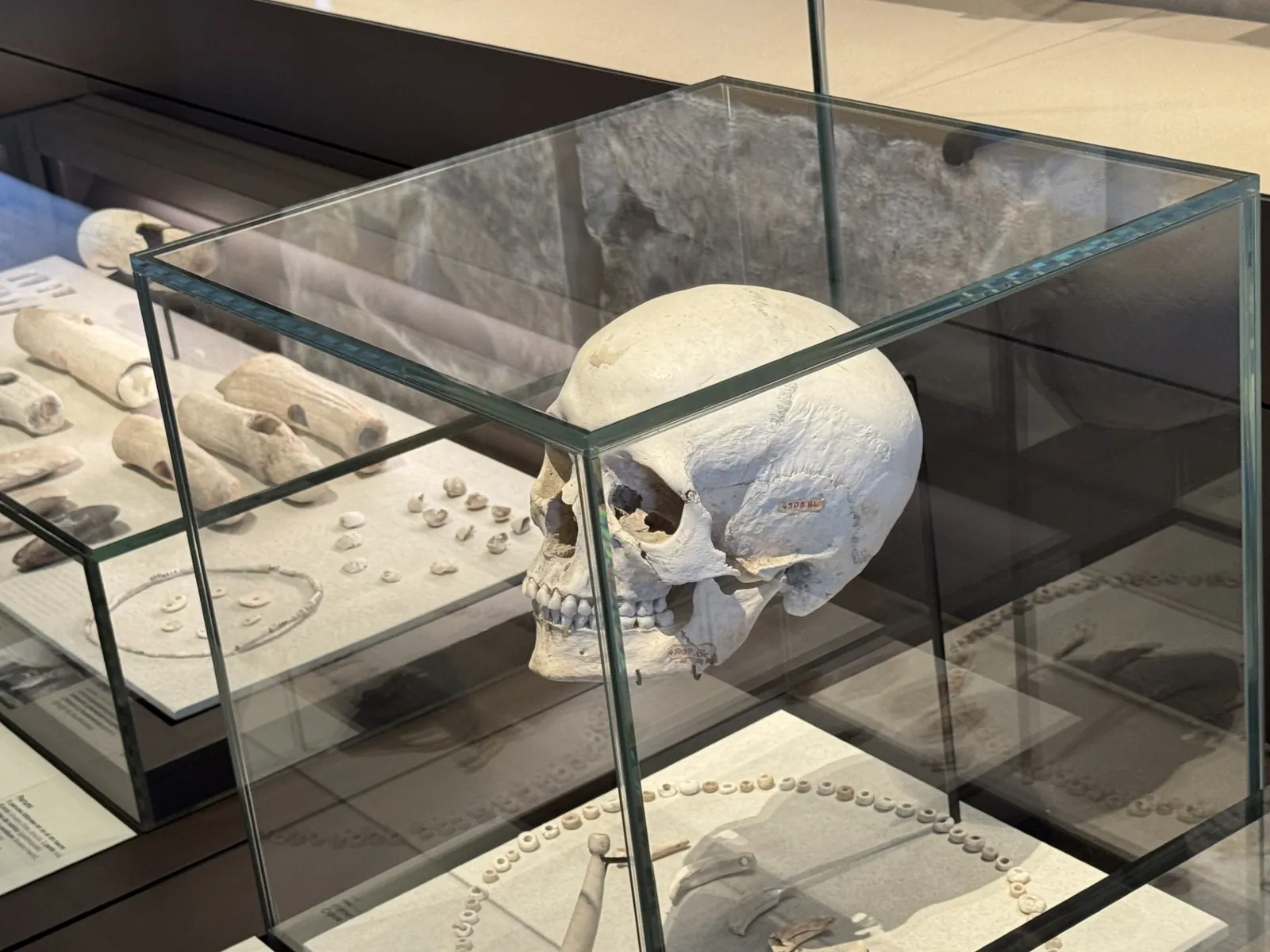 Journée du patrimoine/Sortie au musée