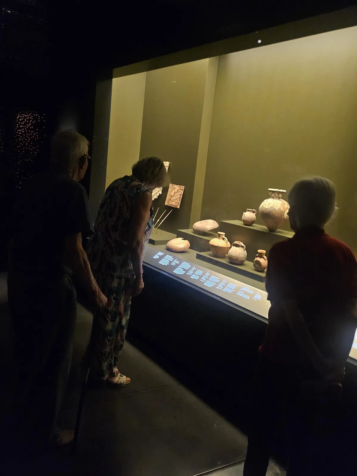  Sortie au Musée des Confluences le 17/07/25