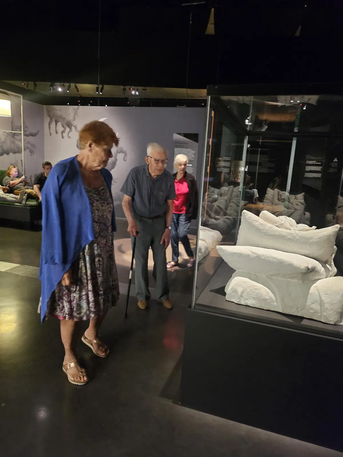  Sortie au Musée des Confluences le 17/07/25
