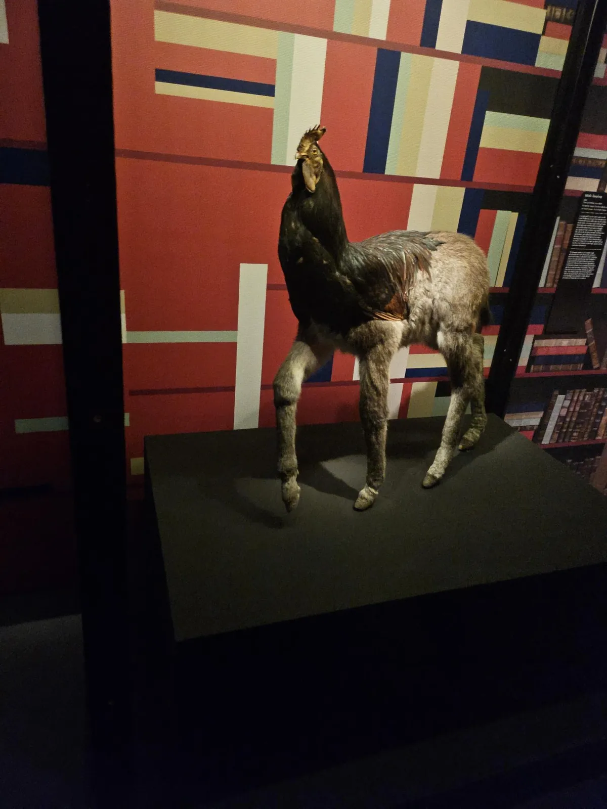  Sortie au Musée des Confluences le 17/07/25