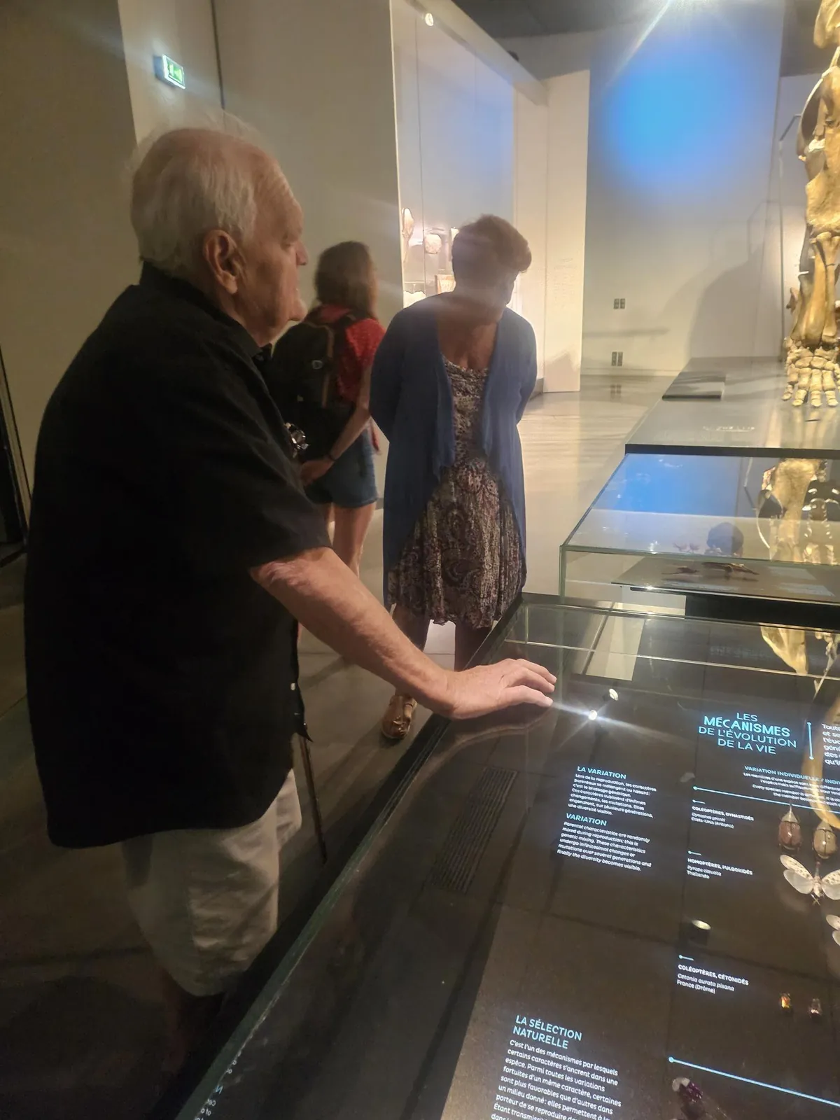 Sortie au Musée des Confluences le 17/07/25