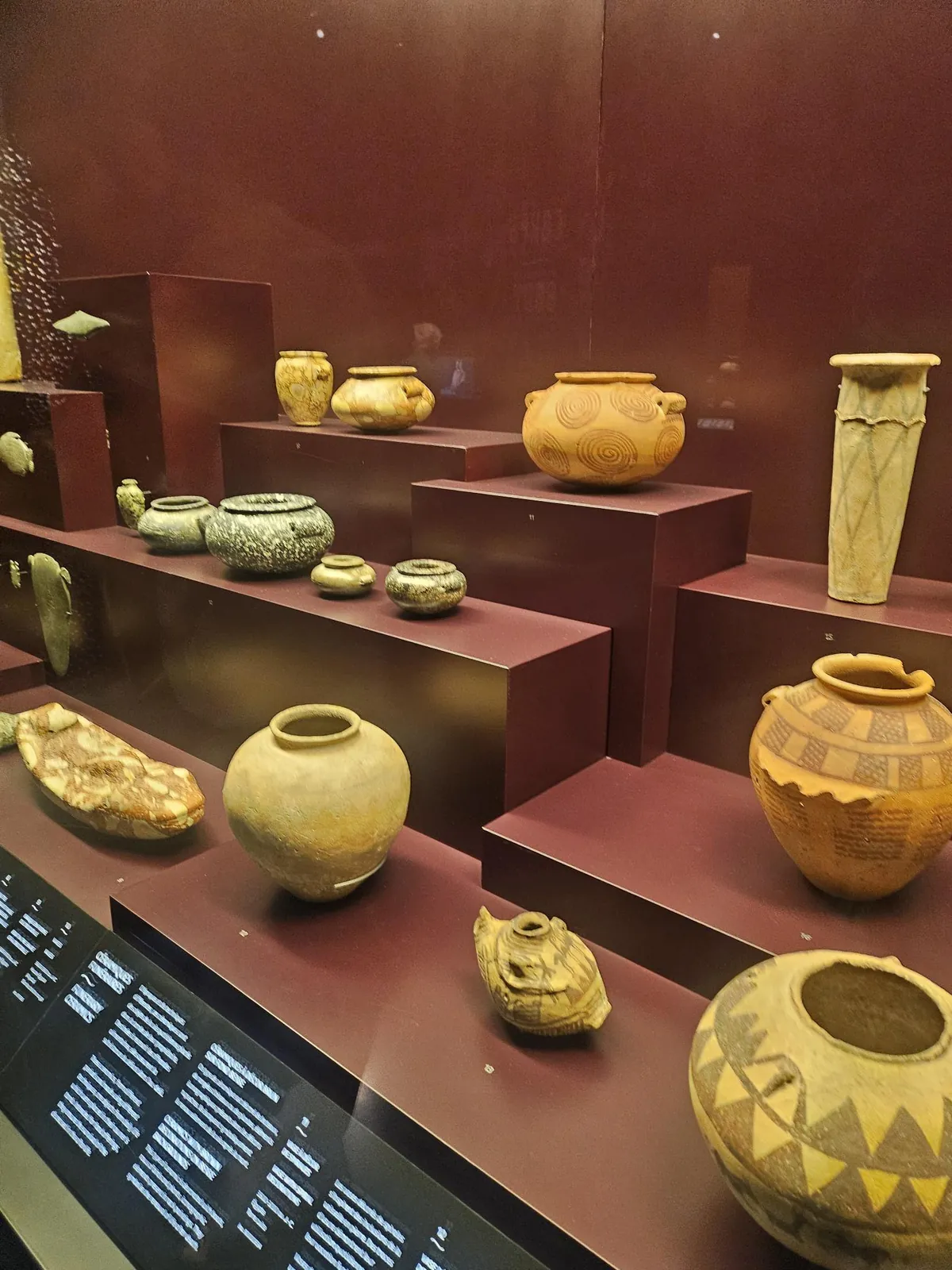  Sortie au Musée des Confluences le 17/07/25