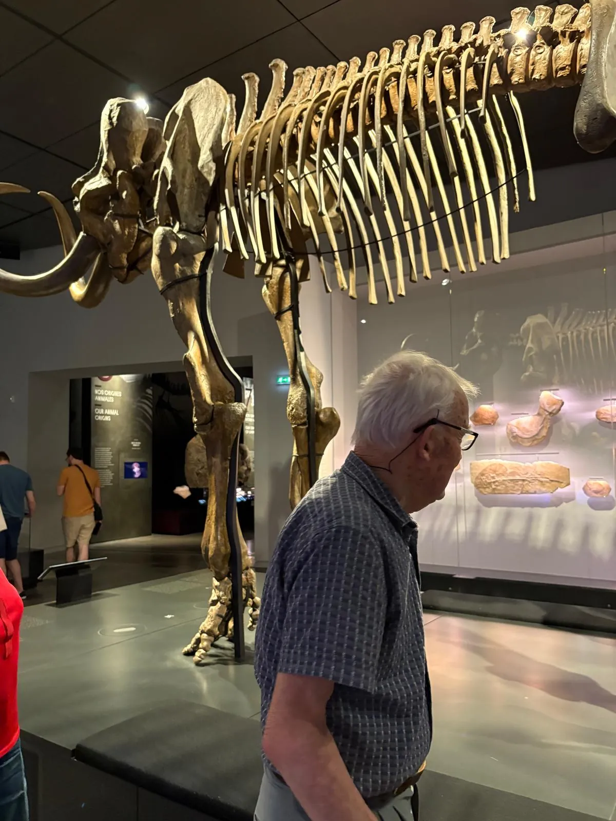  Sortie au Musée des Confluences le 17/07/25