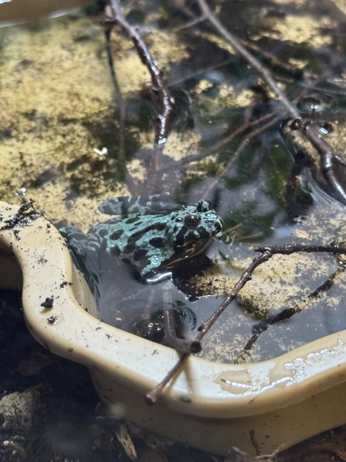 Journée au parc d'Argonne