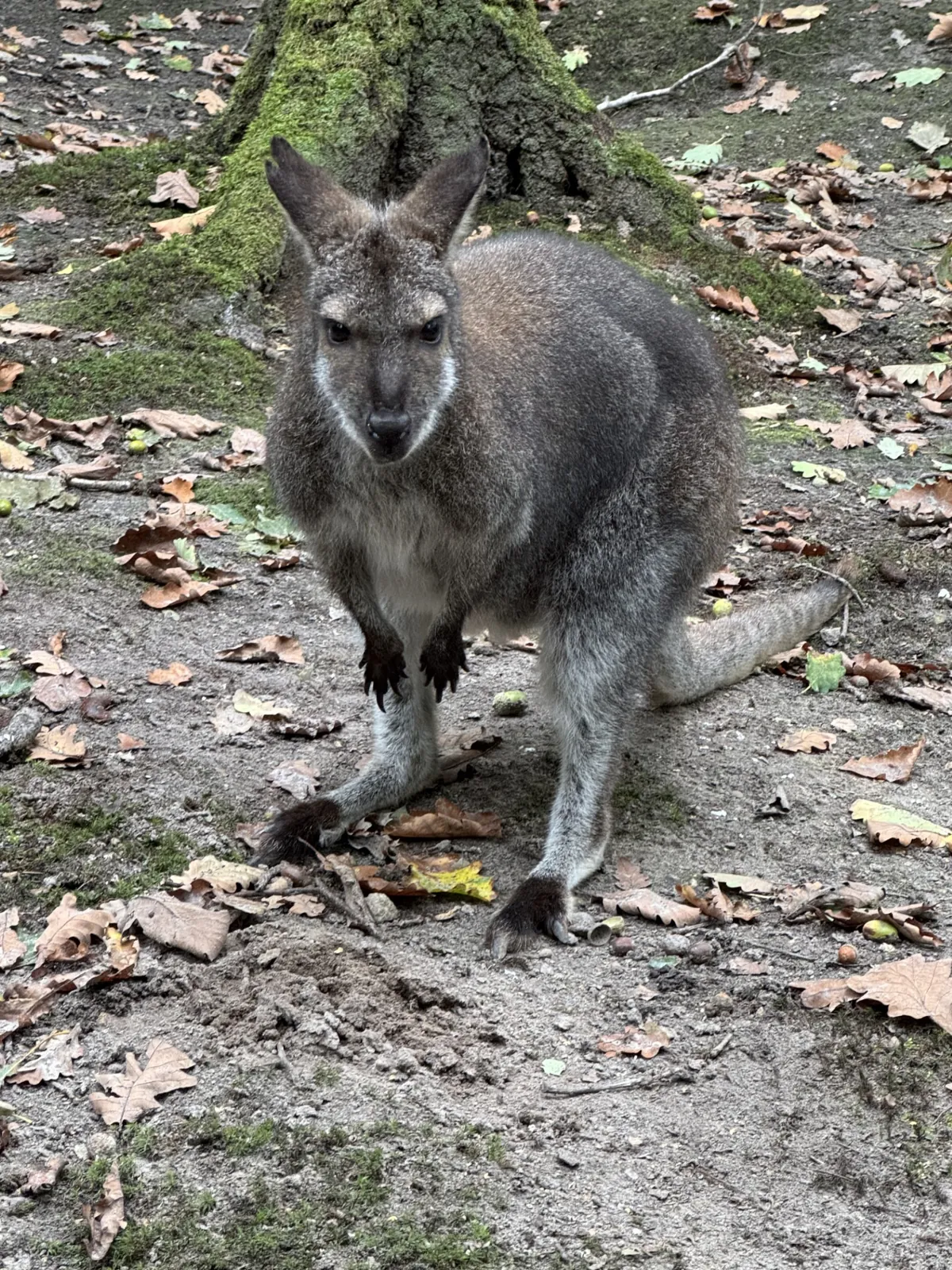 Journée au parc d'Argonne