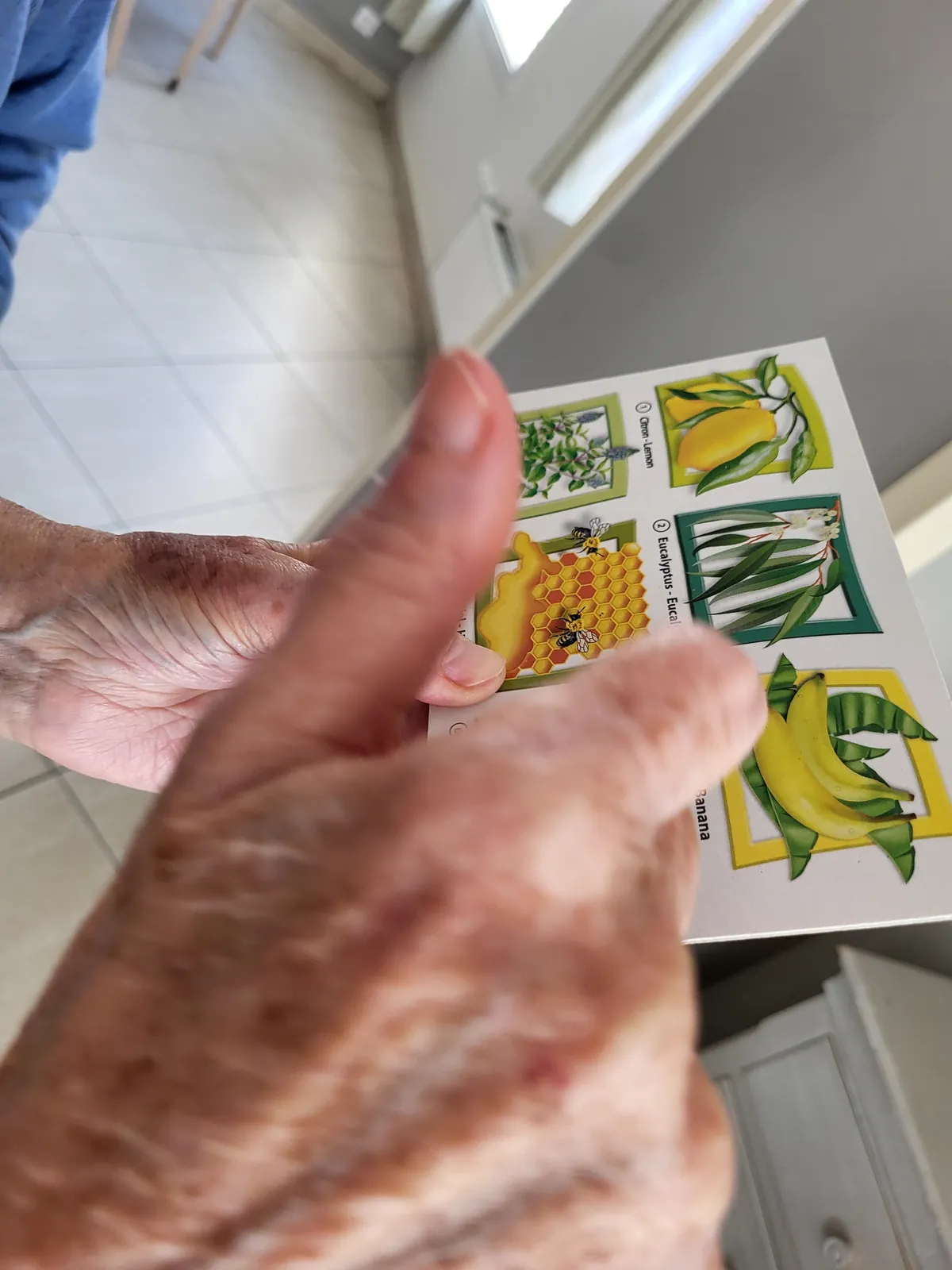 Atelier sensorielle A la résidence les Adrets 