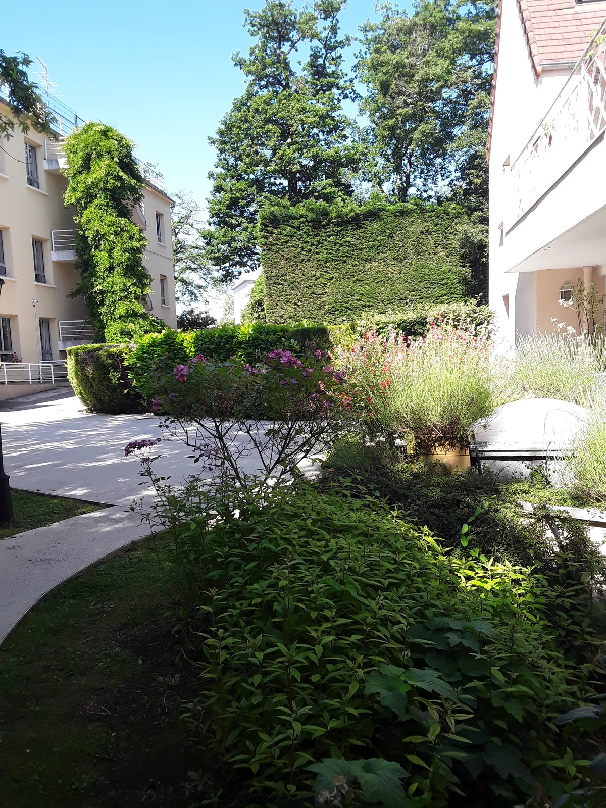 Espace vert de la résidence 