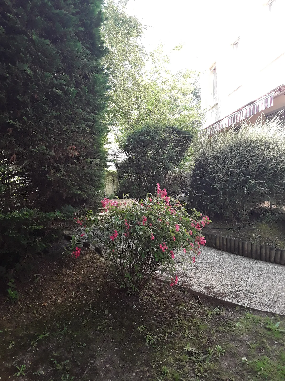 Espace vert de la résidence 