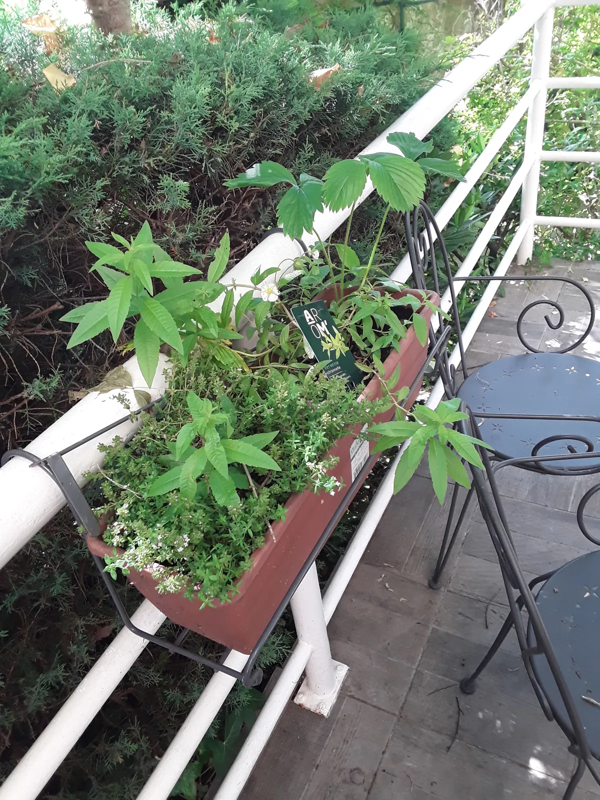 Espace vert de la résidence 