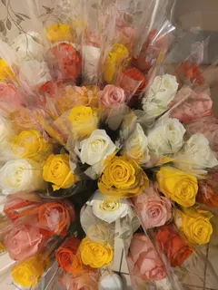 Bonne fête des Mères