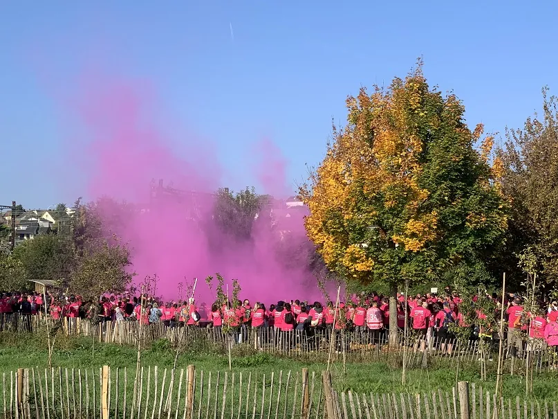 Castel Rose !