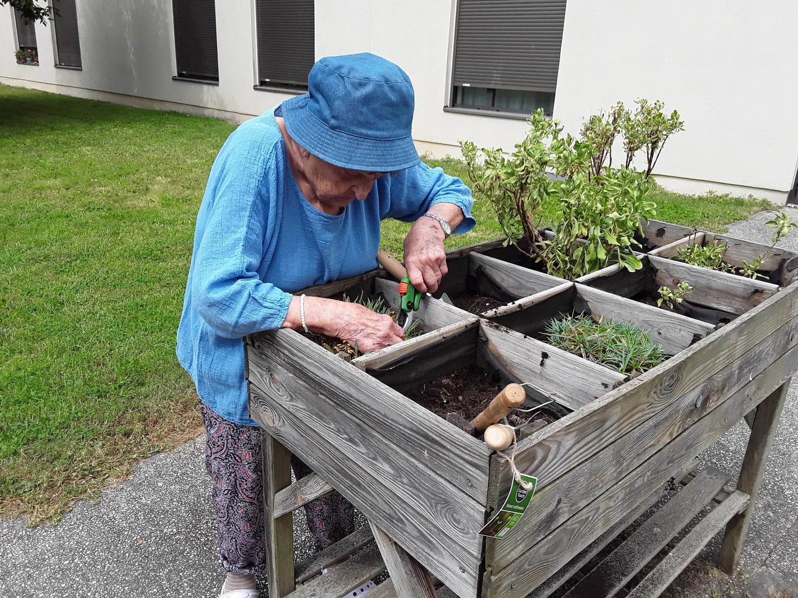 Jardinage