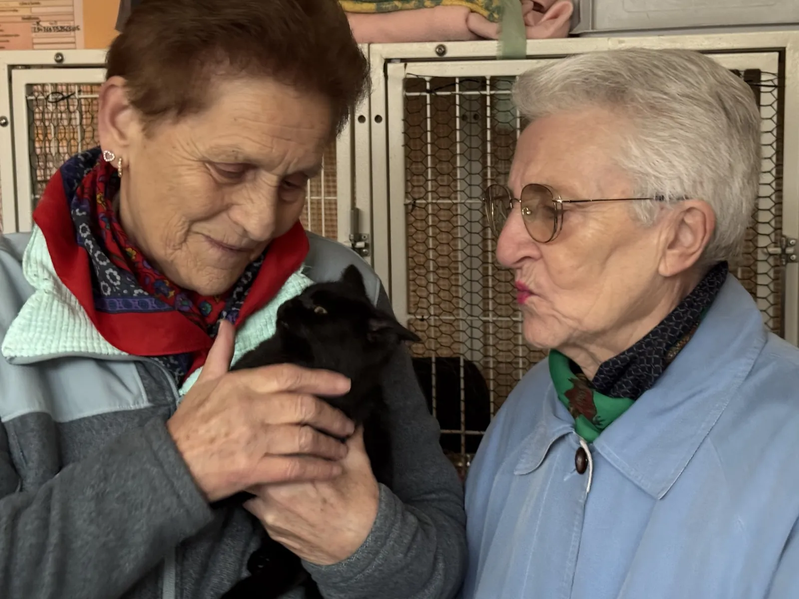  Visite au Refuge A.I.M.A.A – Une après-midi remplie de tendresse 
