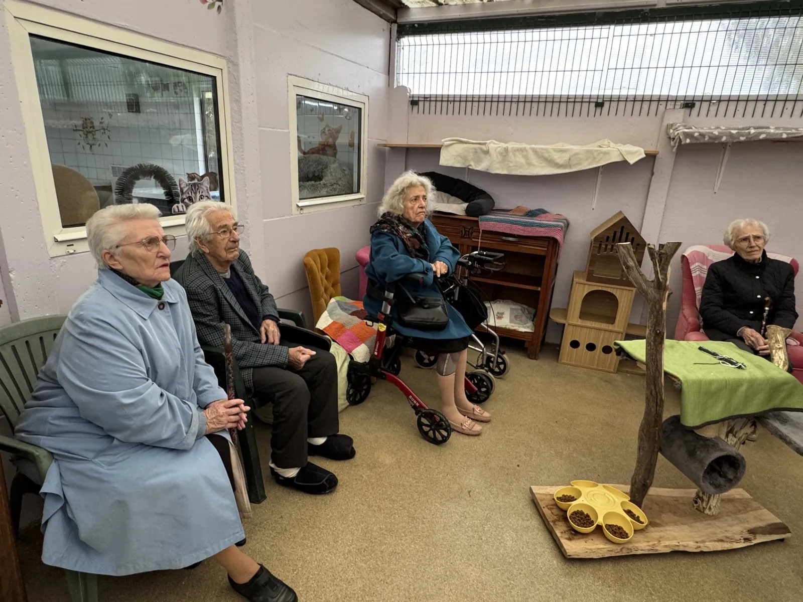  Visite au Refuge A.I.M.A.A – Une après-midi remplie de tendresse 