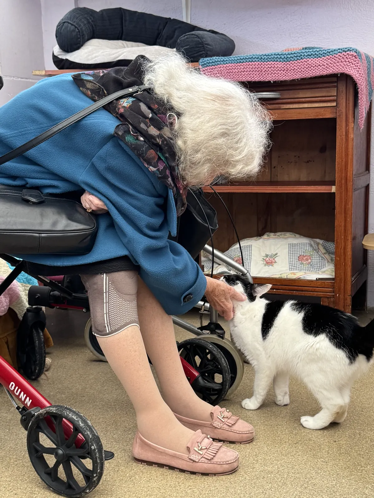  Visite au Refuge A.I.M.A.A – Une après-midi remplie de tendresse 