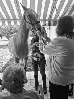Rencontre Cheval-resque 