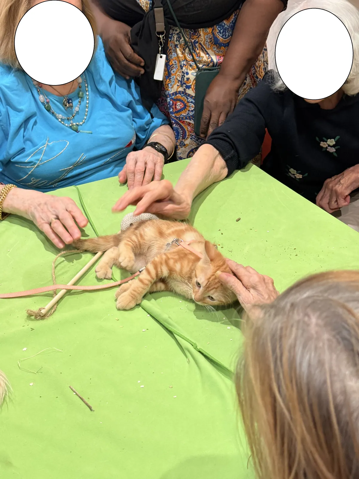 La zoothérapie : un projet porteur de bien-être à la Résidence Les Blacassins