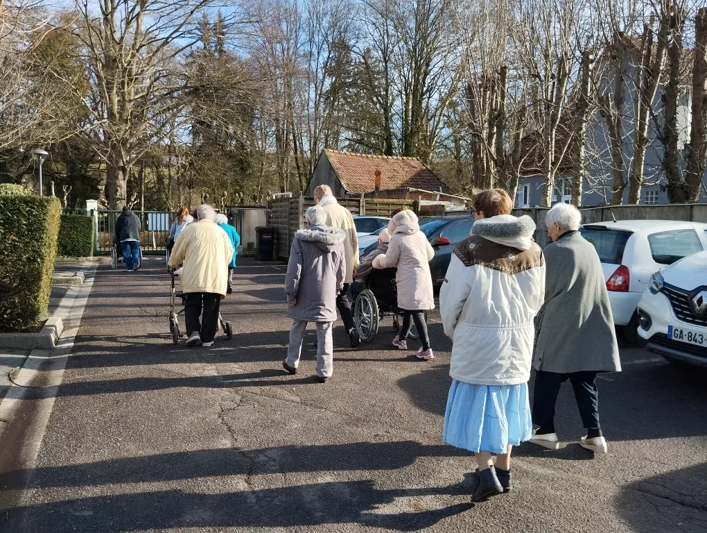 Promenade ensoleillée !