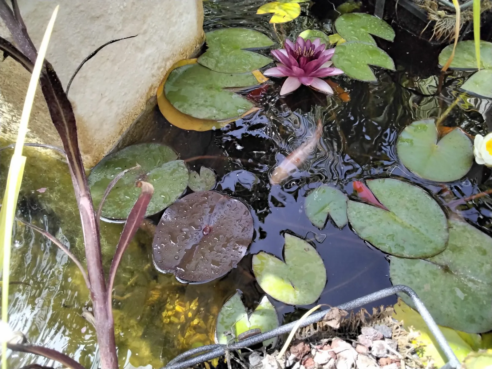 LE JARDIN  NOUS INVITE A 