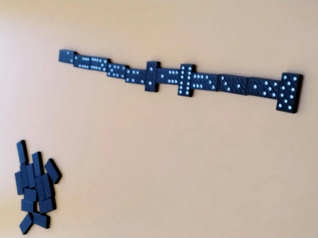 GRAND CONCOURS DE DOMINOS !