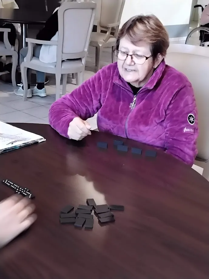 GRAND CONCOURS DE DOMINOS !
