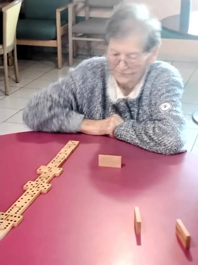 GRAND CONCOURS DE DOMINOS !