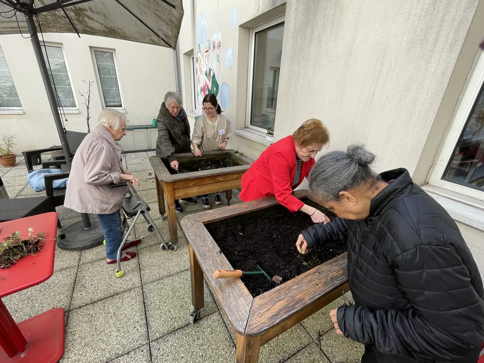Atelier jardinage avec Carottes sauvages !