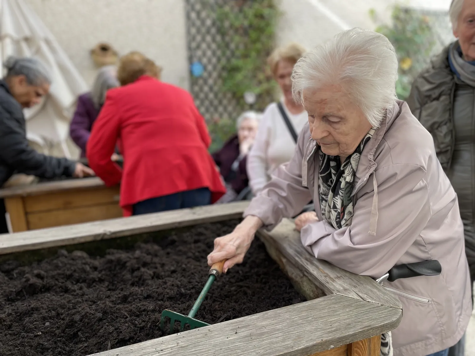 Atelier jardinage avec Carottes sauvages !