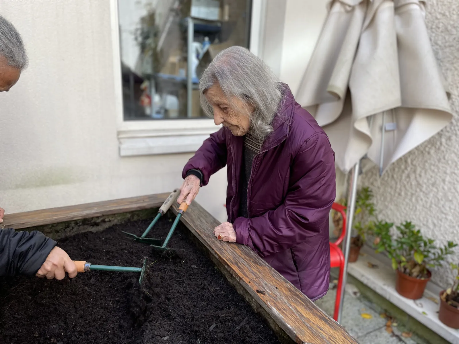 Atelier jardinage avec Carottes sauvages !