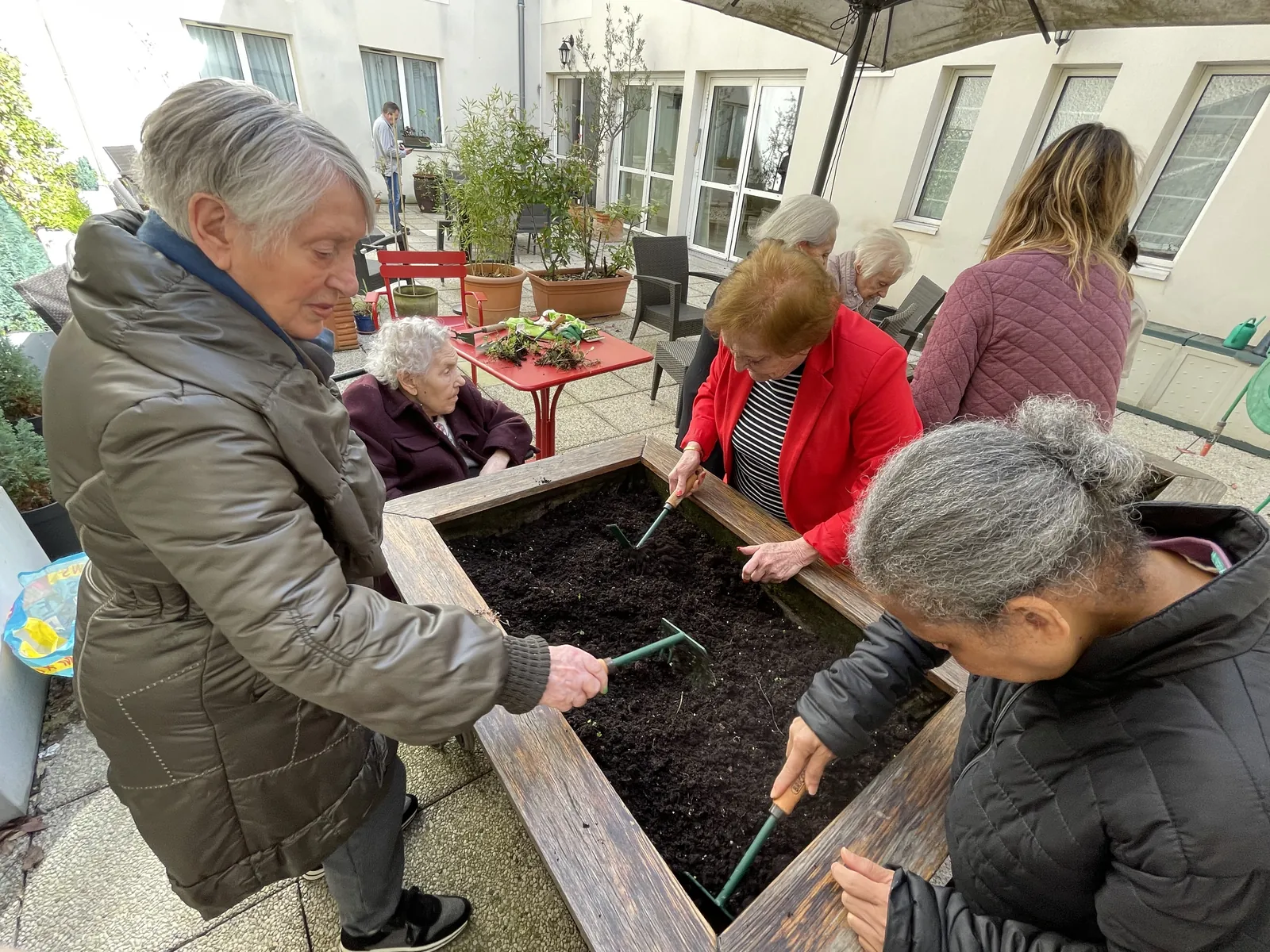 Atelier jardinage avec Carottes sauvages !