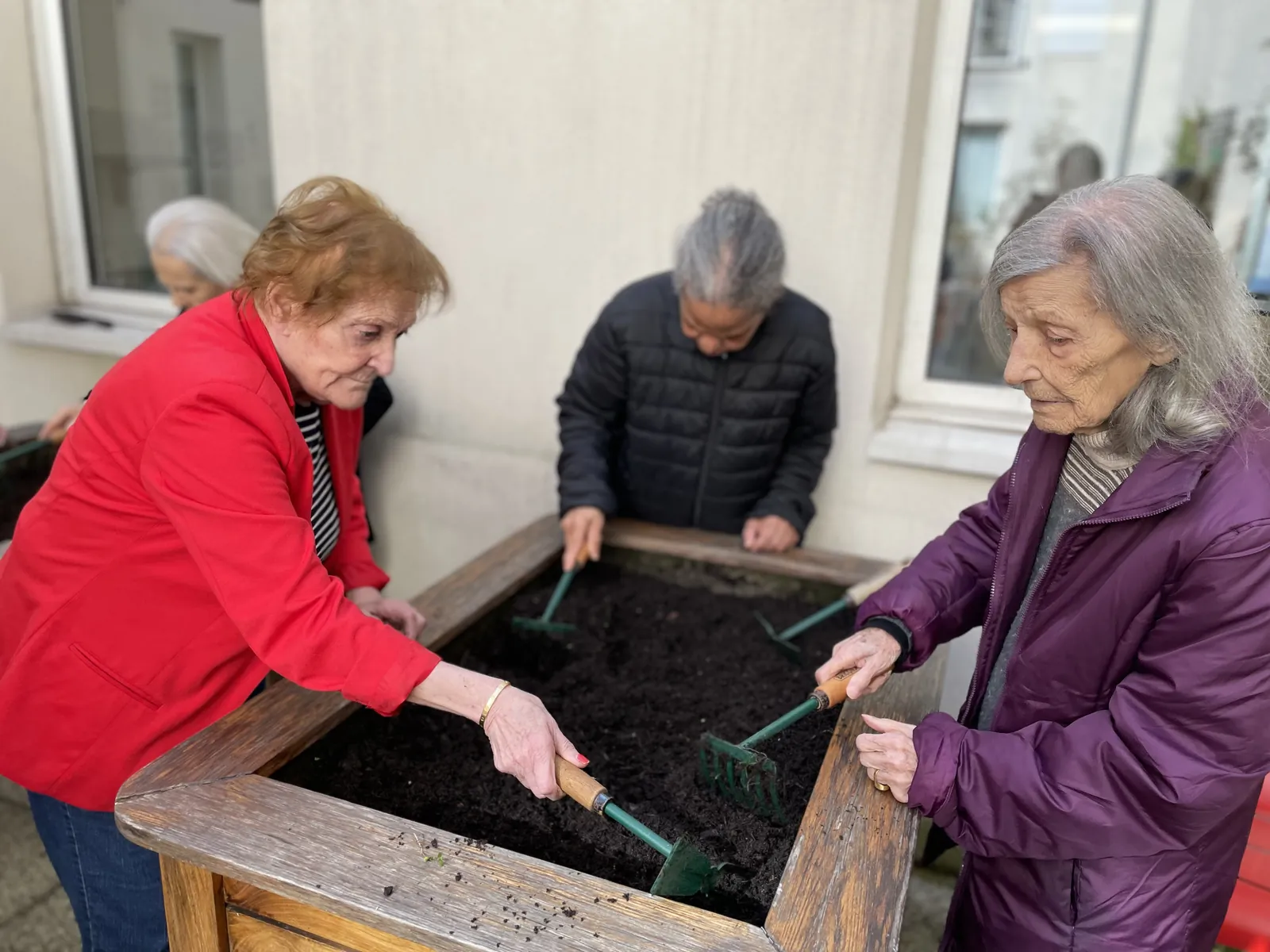 Atelier jardinage avec Carottes sauvages !