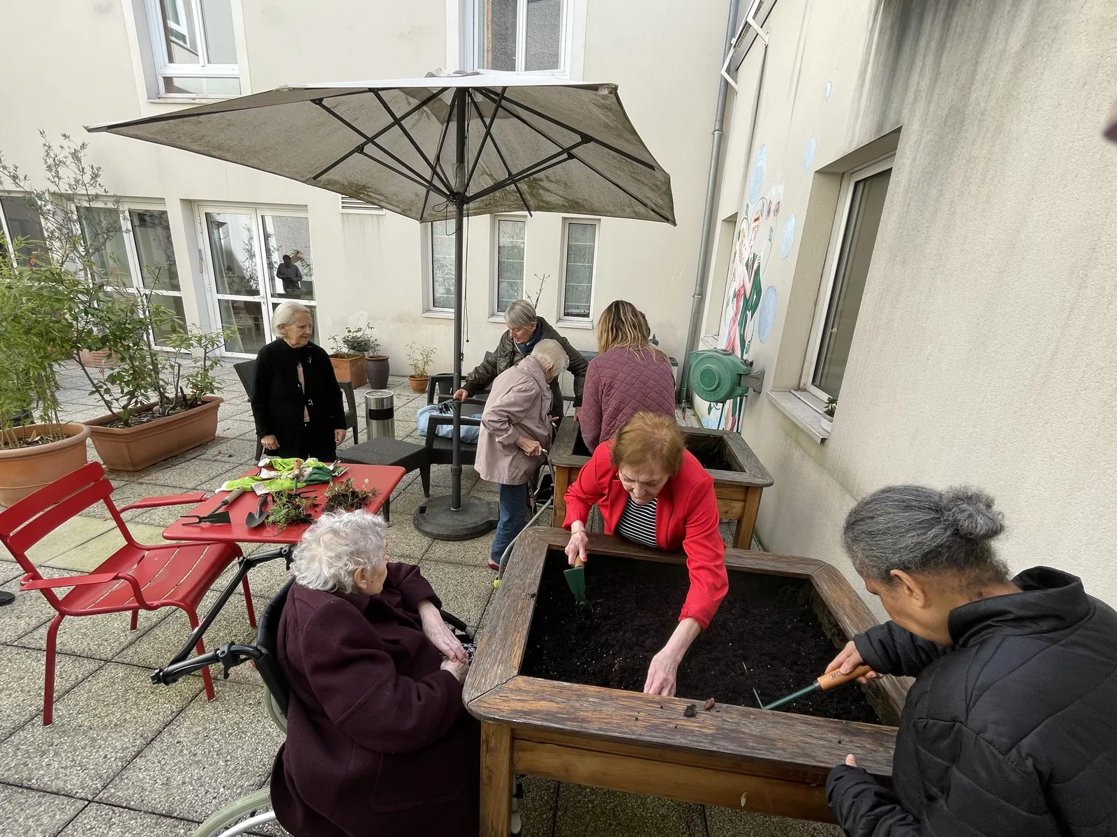 Atelier jardinage avec Carottes sauvages !