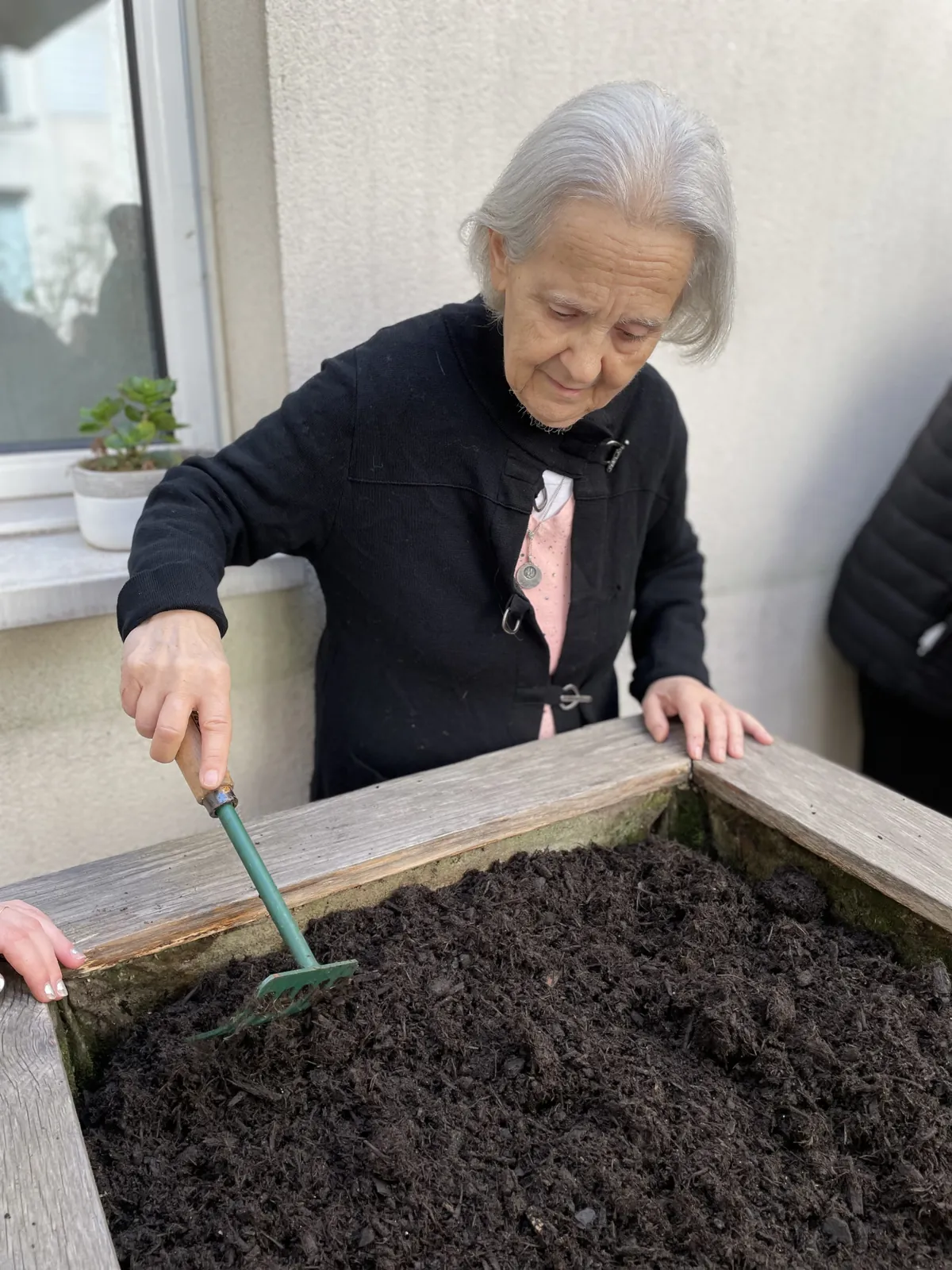 Atelier jardinage avec Carottes sauvages !