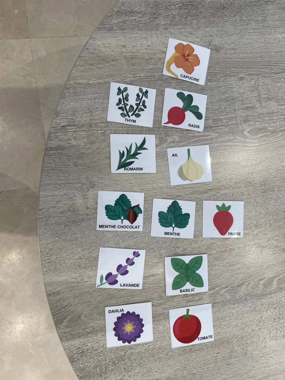 Atelier jardinage avec Carottes sauvages !