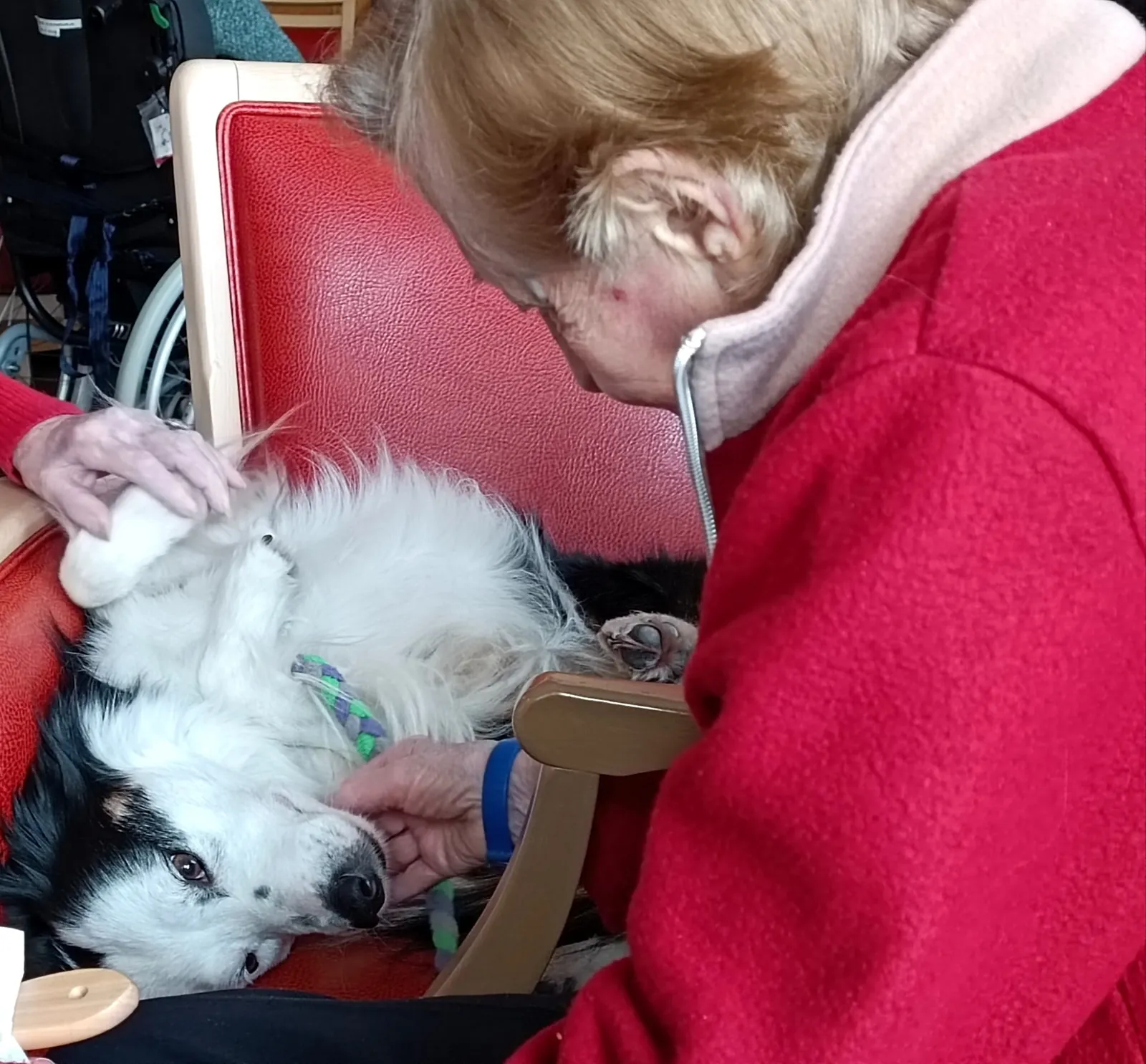 Eywa, la compagne canine qui apporte joie et équilibre aux résidents