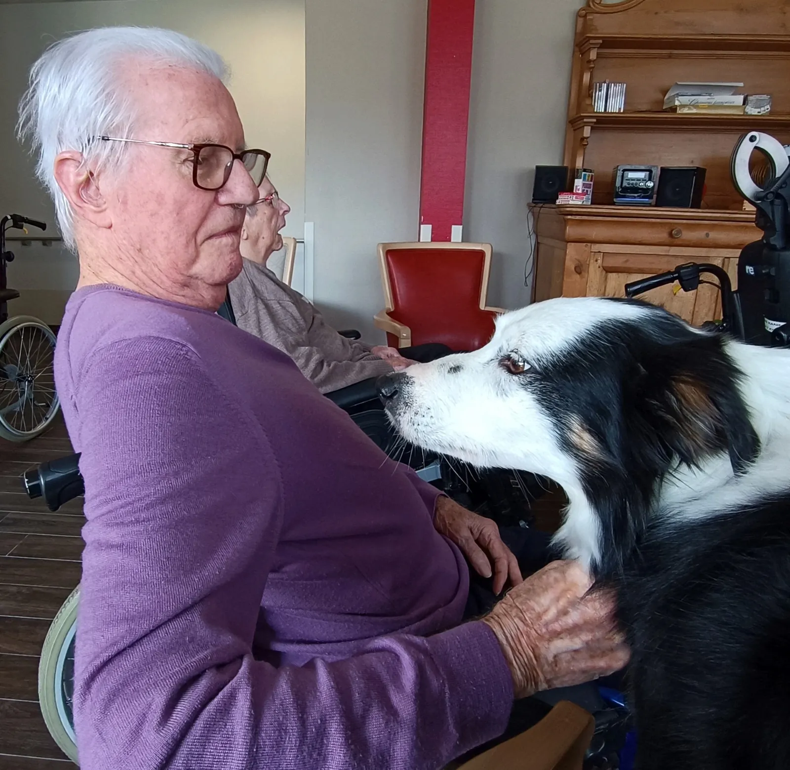 Eywa, la compagne canine qui apporte joie et équilibre aux résidents