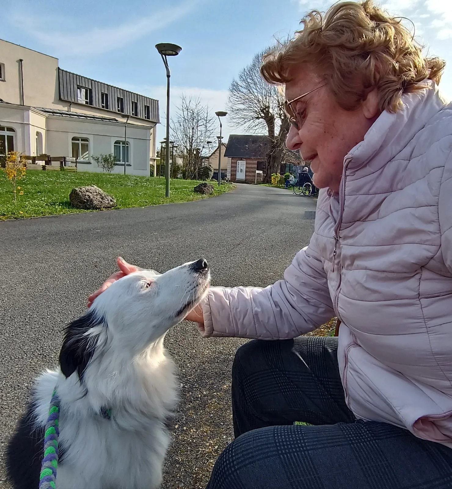 Eywa, la compagne canine qui apporte joie et équilibre aux résidents