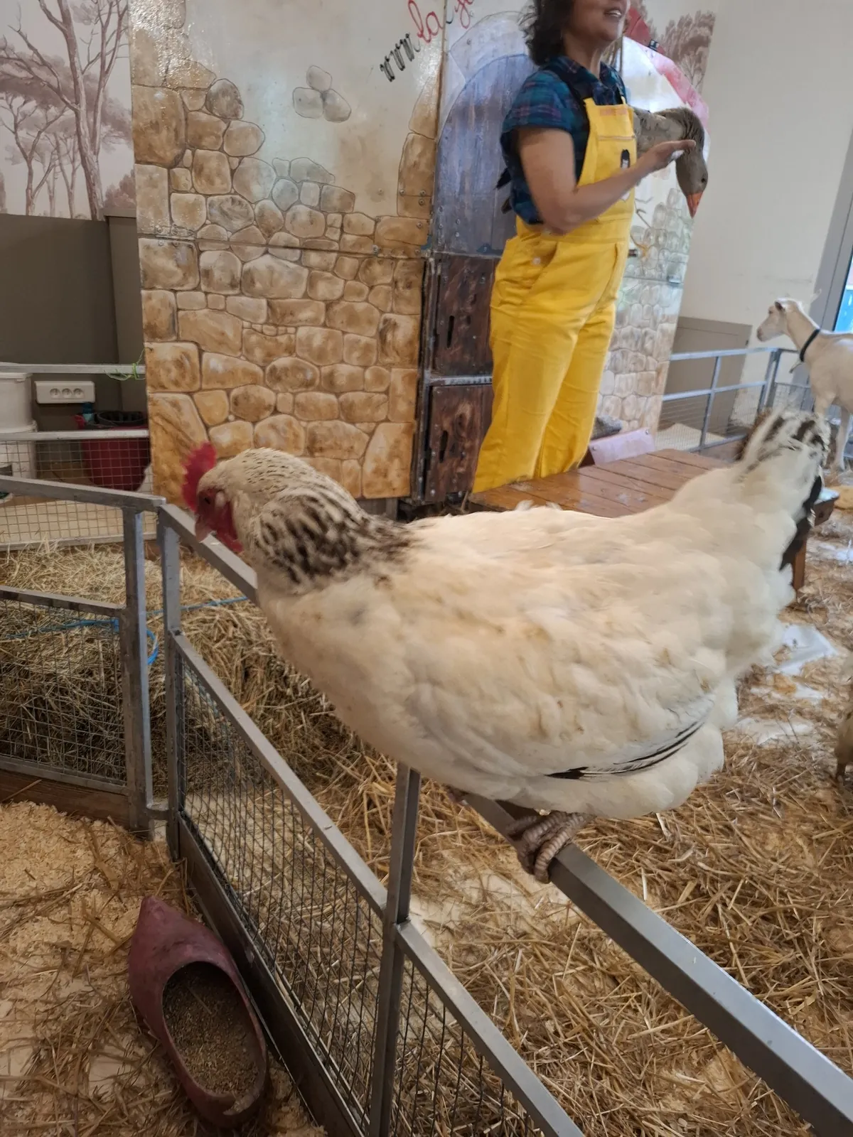 Visite Inter-Résidences : À la Découverte des Animaux de la Ferme