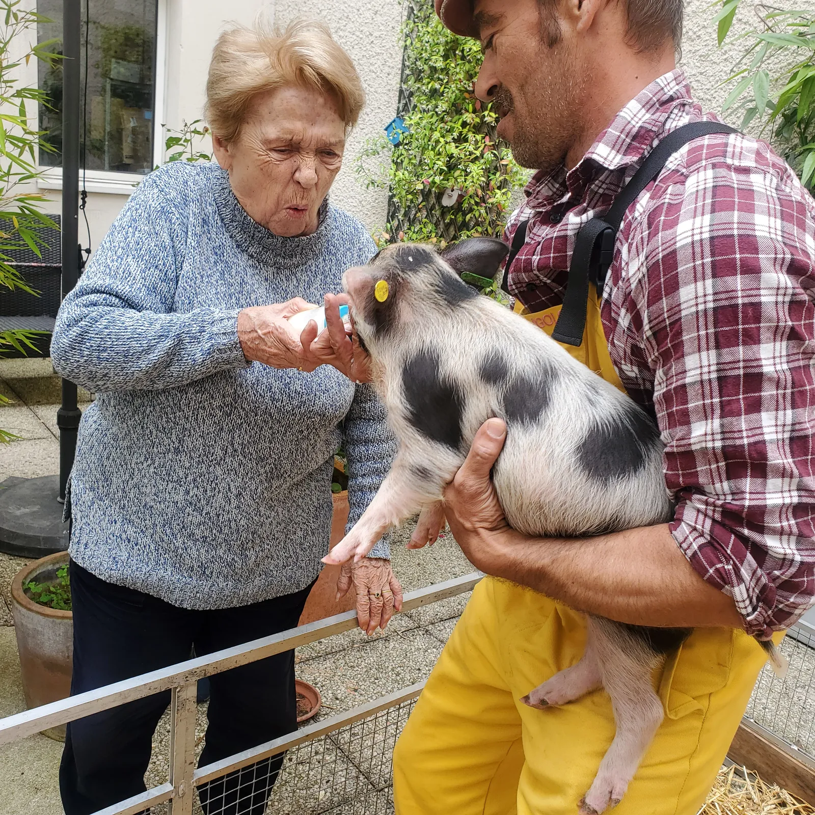 la ferme tiligolo 