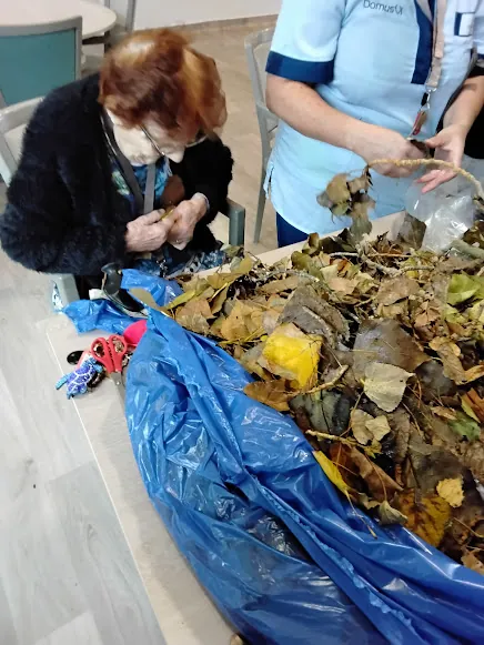 L’art de l’automne : confection d’une chouette avec des feuilles récoltées