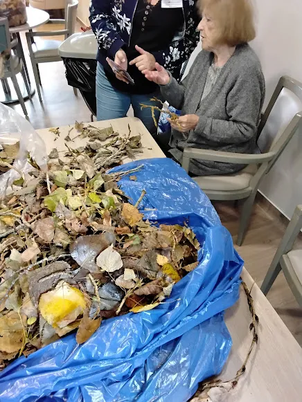 L’art de l’automne : confection d’une chouette avec des feuilles récoltées