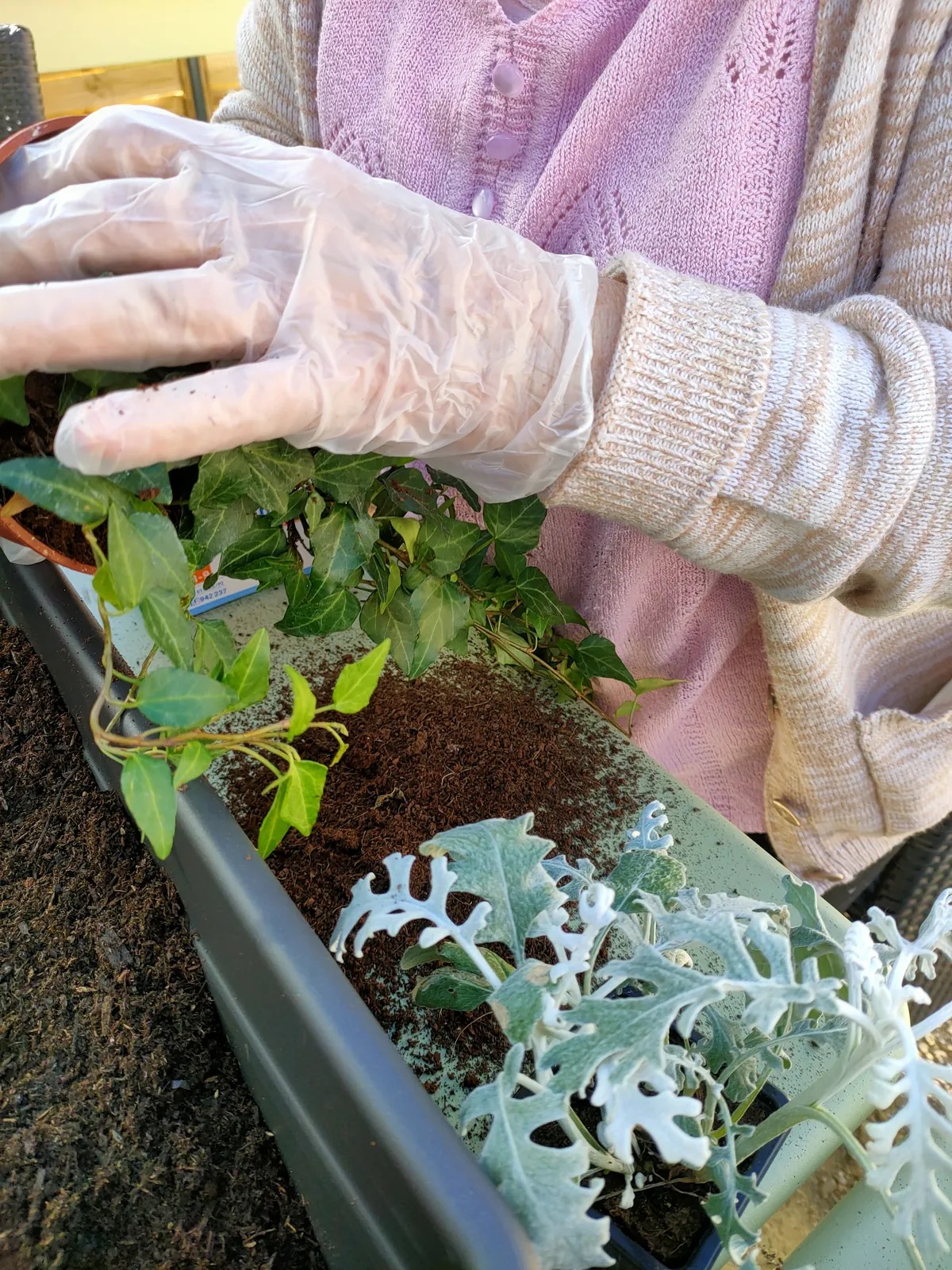 Atelier jardinage 