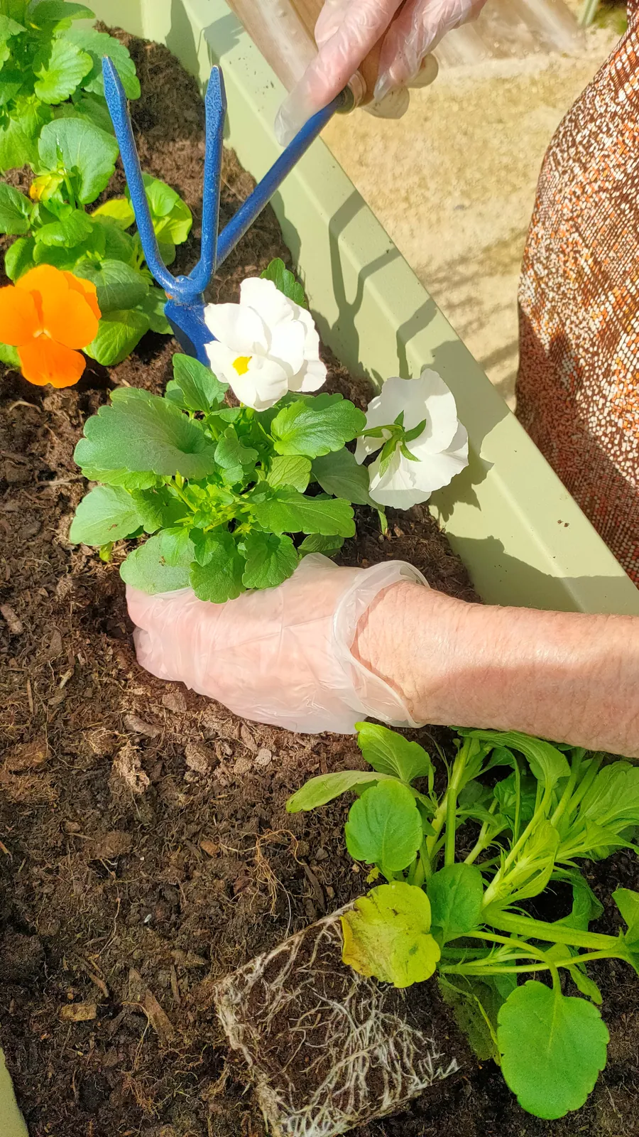 Atelier jardinage 