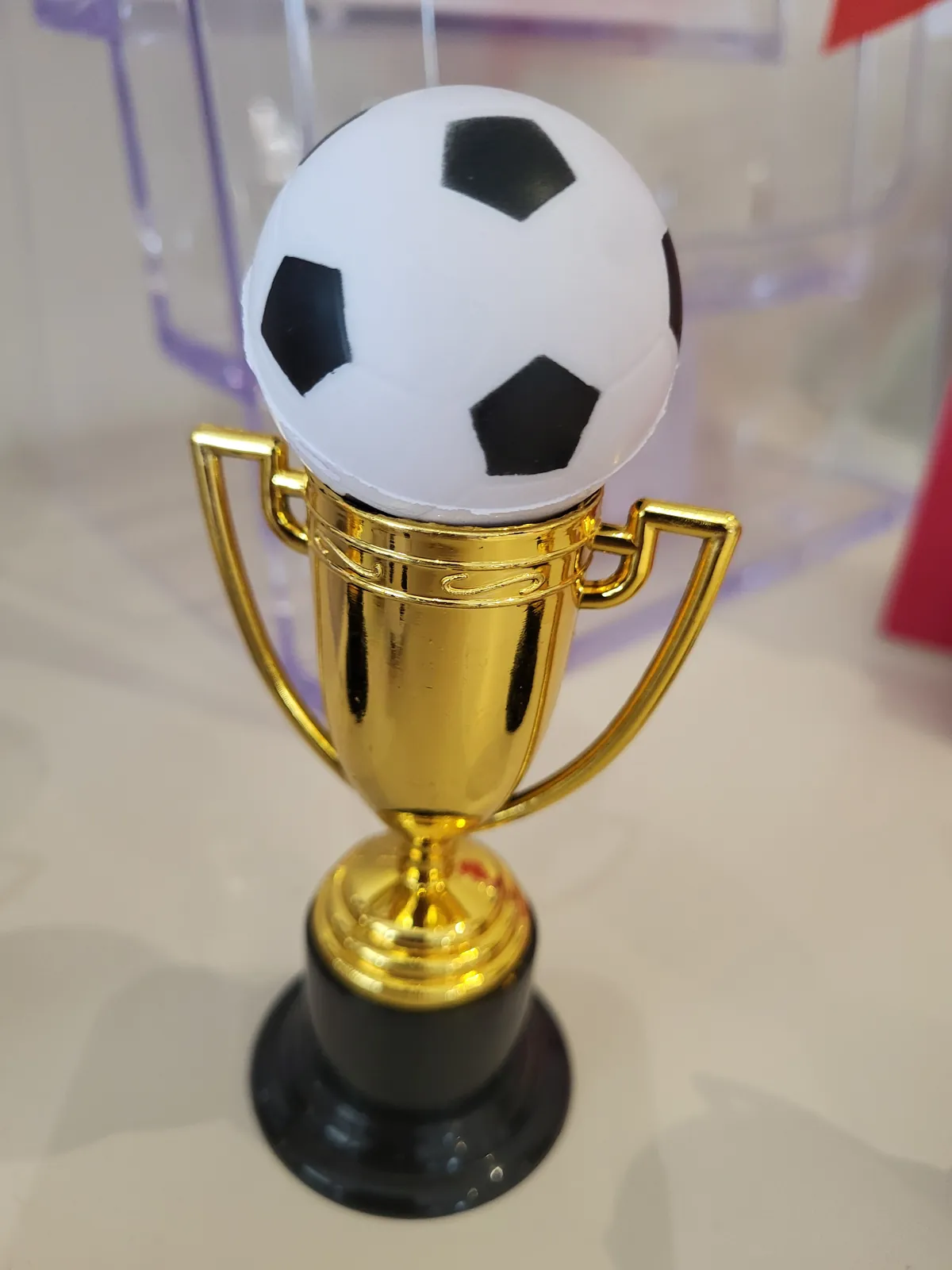 Décoration de la coupe du monde Au Adrets 