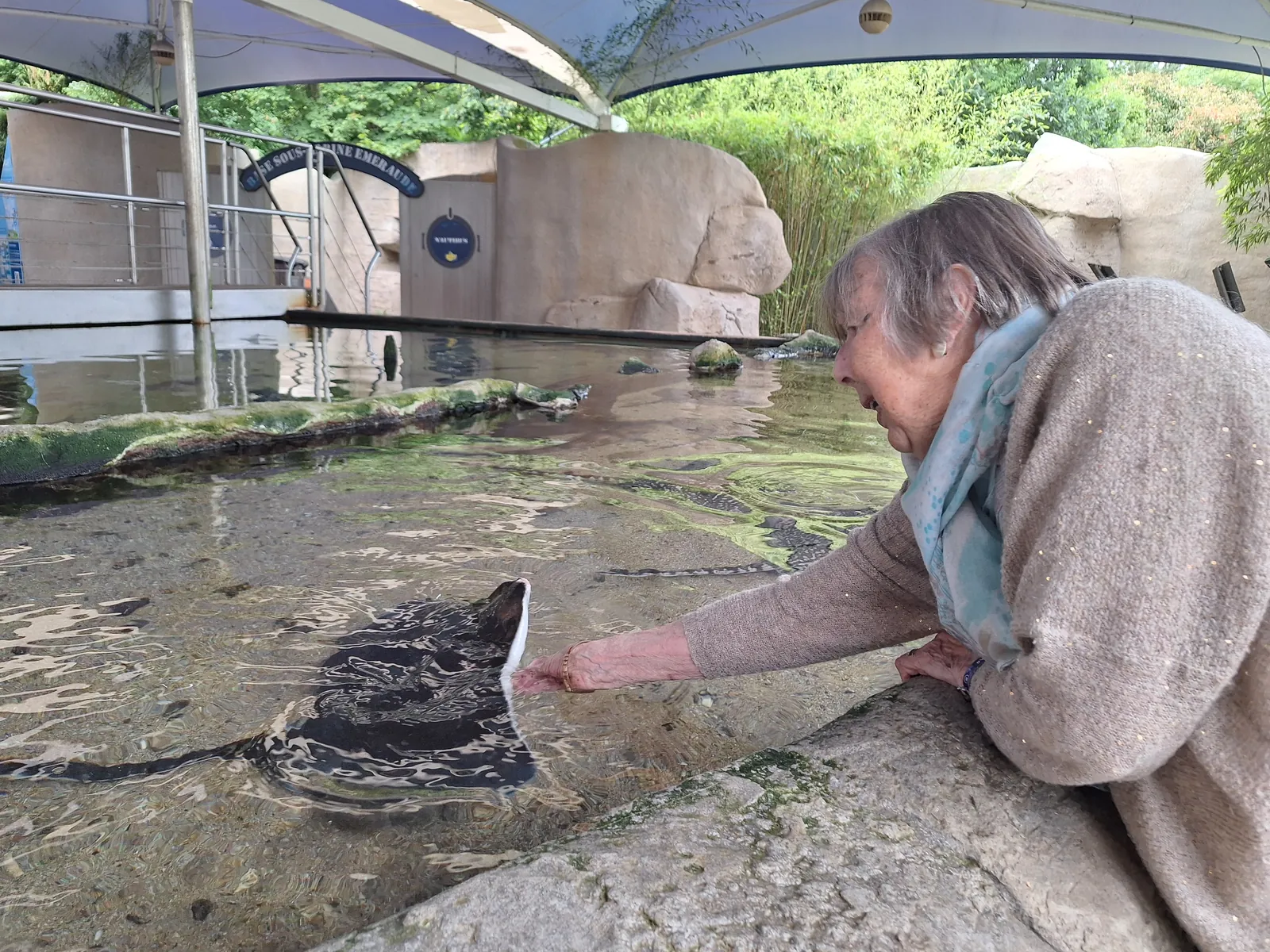Un Séjour Inoubliable au Domaine des Ormes à Dol de Bretagne pour 4 résidentes de la résidence Medicis à Carpiquet