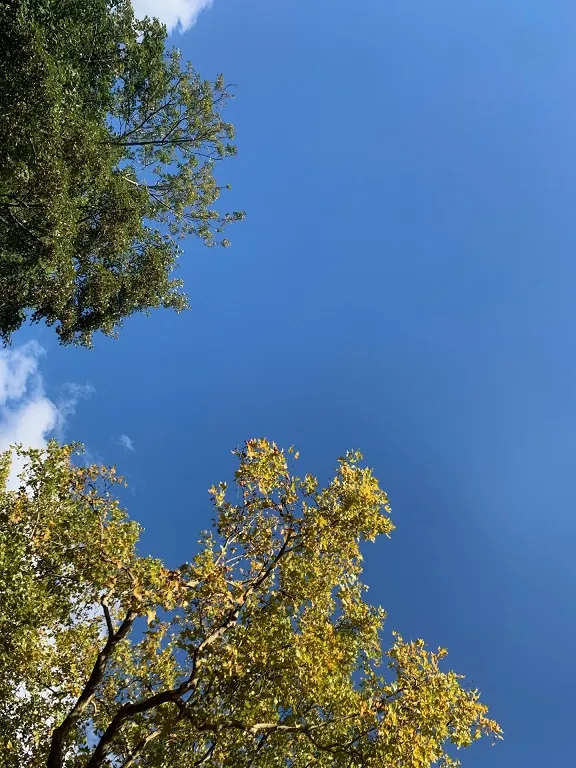 Après-midi d'été indien !